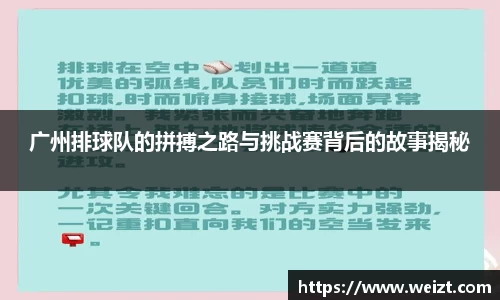 Bsports必一体育