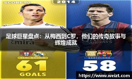 bsport官网入口