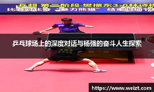 bsport官网入口