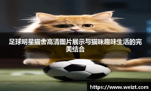 Bsports必一体育